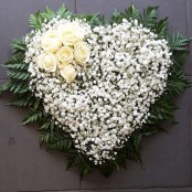 Gypsophilia Heart (1587559574)